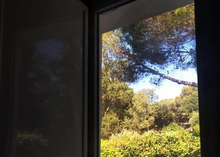 Beautiful Apartment, Swimming Pool And 2 *